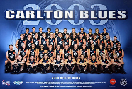 CARLTON BLUES 2006 POSTER
