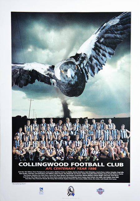 COLLINGWOOD MAGPIES 1990 PREMIERS POSTER
