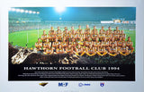 Hawthorn 1994 Team Poster