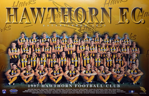 Hawthorn 1997 Team Poster