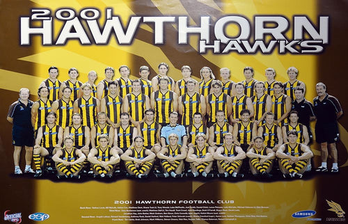 Hawthorn 2001 Team Poster