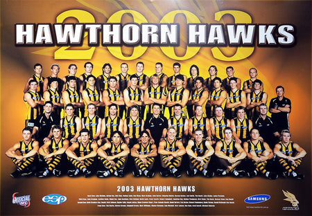 HAWTHORN- LUKE HODGE SIGNED FACIMILE AFL OFFICIAL HAWTHORN MINI WINGS "GREATNESS" PRINT FRAMED