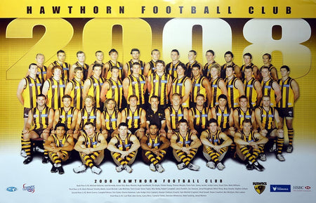 Hawthorn Hawks 2014 Mark Knight Premiership Poster/Framed