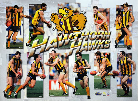 Hawthorn Hawks 2014 Mark Knight Premiership Poster/Framed