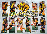 Hawthorn 1998 Best Of Poster
