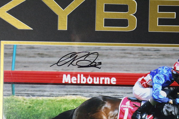 HORSE RACING-Makybe Diva Melbourne Cup Framed/Signed by Glen Boss