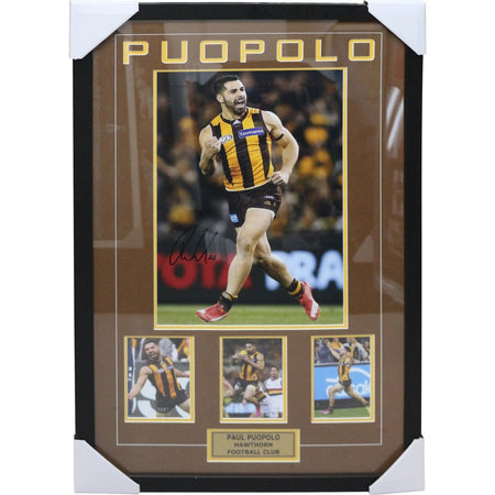 HAWTHORN-TOM MITCHELL BOXED BROWNLOW MEDAL DISPLAY