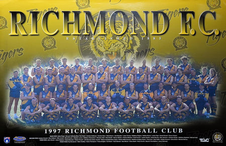 Richmond Tigers 2020 WEG Art Premiership Poster/Framed