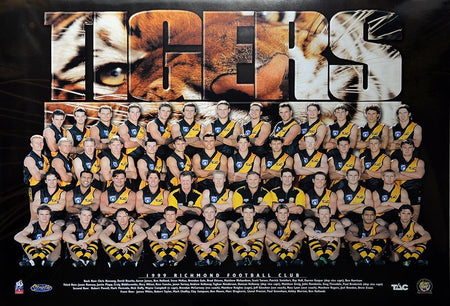 Gold Coast Suns 2016 Team Poster