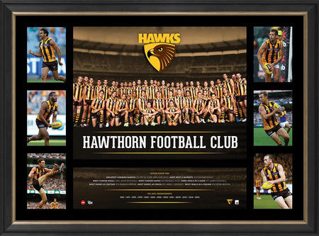 Hawthorn 4 Player Sports Print