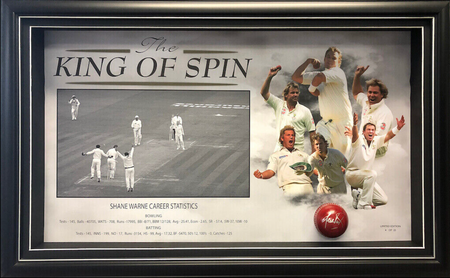 CRICKET-DAVID BOON MBE Australian Test Cricket CARICATURE SIGNED FRAME