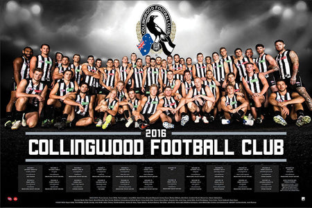 COLLINGWOOD 2023 PREMIERS SPORTSPRINT FRAMED