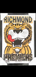 Richmond Tigers 2019 WEG Art Premiership Poster/Framed