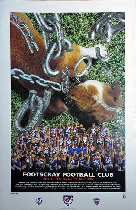 Western Bulldogs Football Club Official 2016 AFL Team Poster Framed