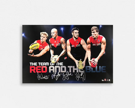 Melbourne 1996 Team Poster